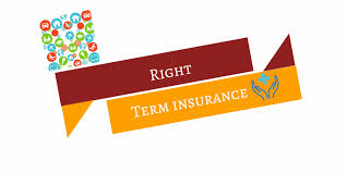 Choosing term insurance plans for your growing family 